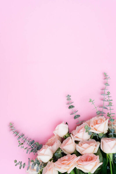 Rose fresh flowers on pink table from above with copy space, flat lay frame