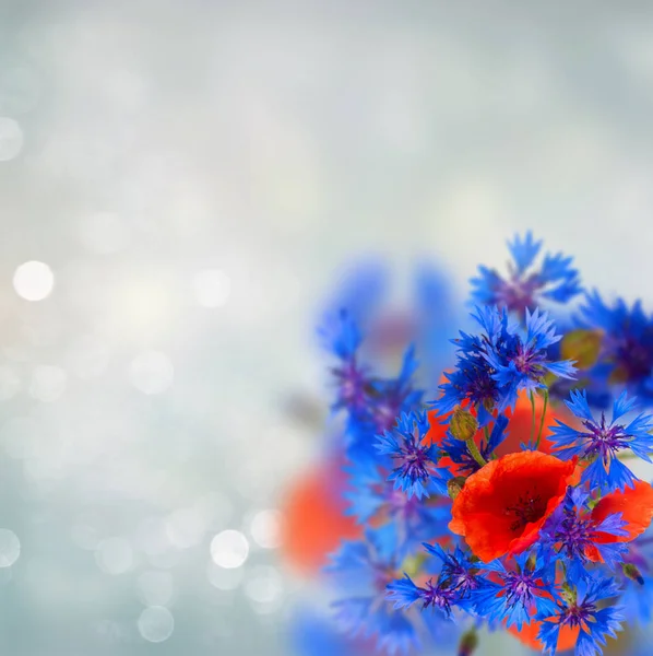 Bouquet di papavero e fiordaliso — Foto Stock