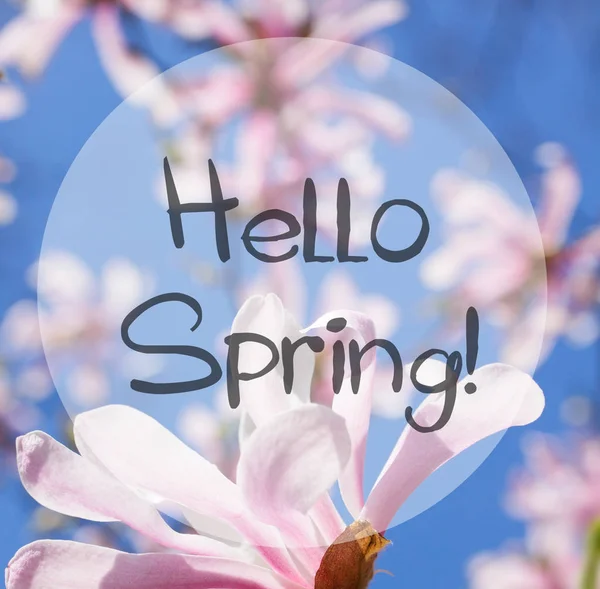 Blooming magnolia with hello spring words — Stock Photo, Image