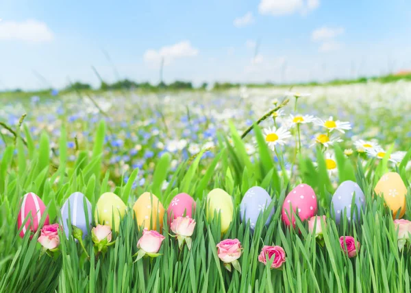 Oeufs de Pâques dans l'herbe — Photo