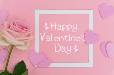 Mor çiçek açan güller