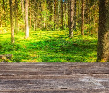 Yeşil Orman ağaçları