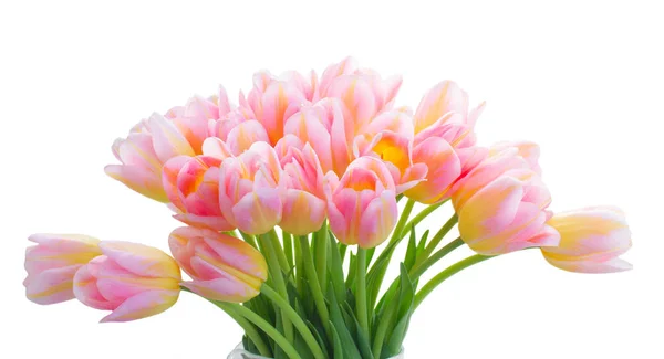 Strauß von Tulpenblumen — Stockfoto