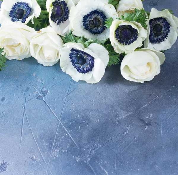 Anemones flowers on stone background — Stock Photo, Image