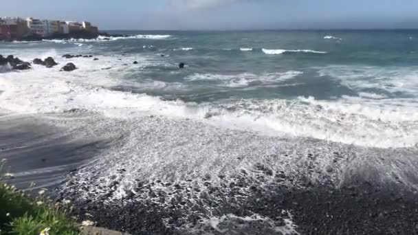 Puerto de la Cruz, Tenerife — Vídeo de Stock