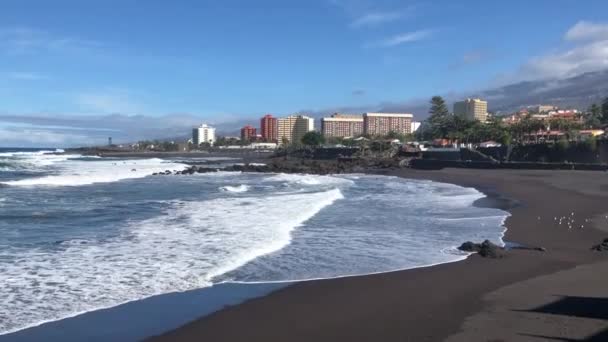 Puerto de la Cruz, Tenerife — Vídeo de Stock