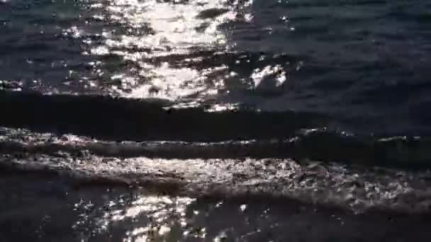 Acqua di mare pulita — Video Stock