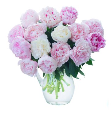 Taze şakayık çiçekleri