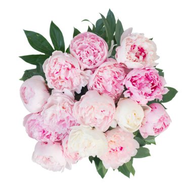 Taze şakayık çiçekleri