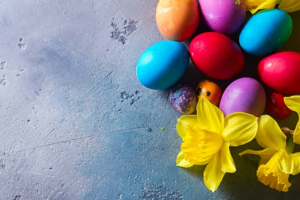 Easter yellow flowers — Stock Photo, Image