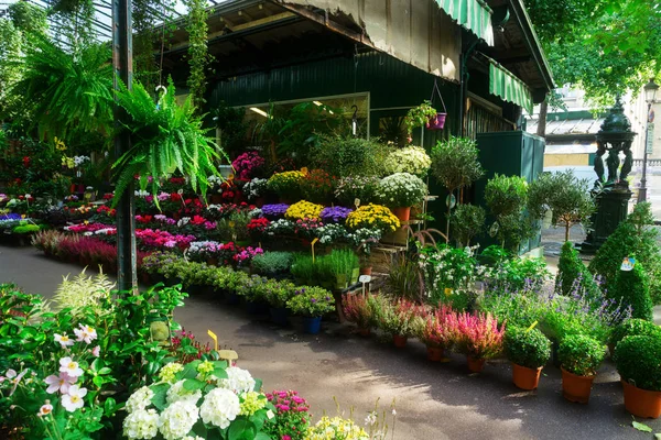 Mercado de flores de Paris — Fotografia de Stock