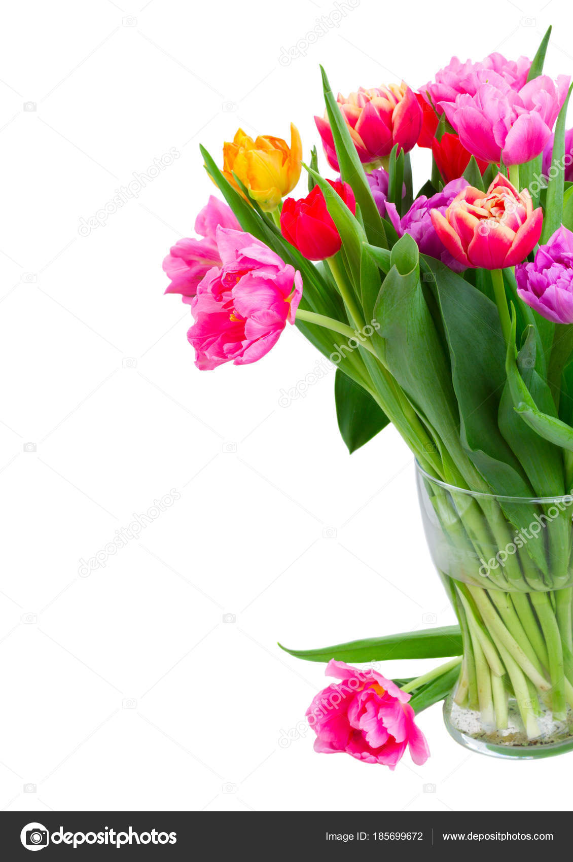 bouquet of tulips flowers