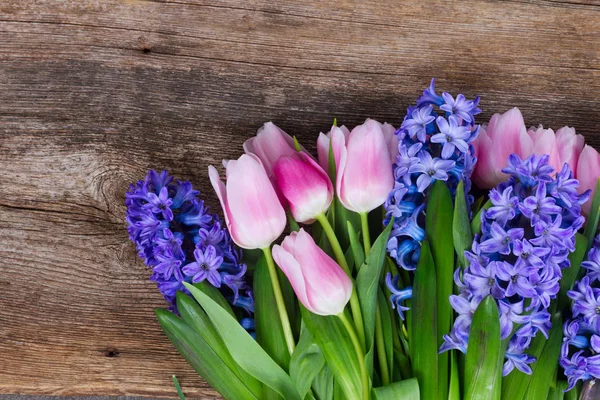 Hyacinths and tulips — Stock Photo, Image