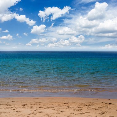 soyut mevsimlik deniz arka plan