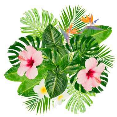 Tropik yeşil yapraklar