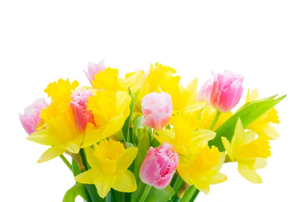 Bukiet tulipany i żonkile — Zdjęcie stockowe