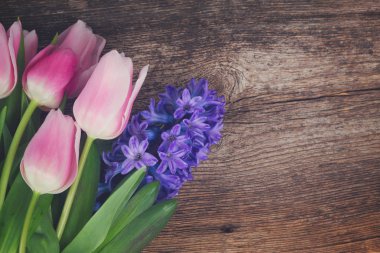 sümbüller ve laleler