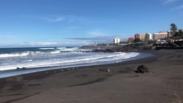 Puerto de la Cruz, Tenerife — Vídeo de Stock