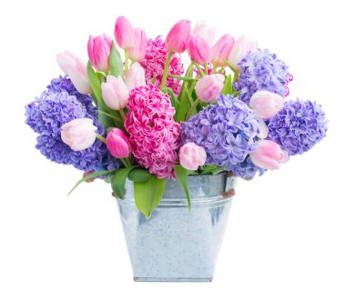 Sümbül taze çiçekler