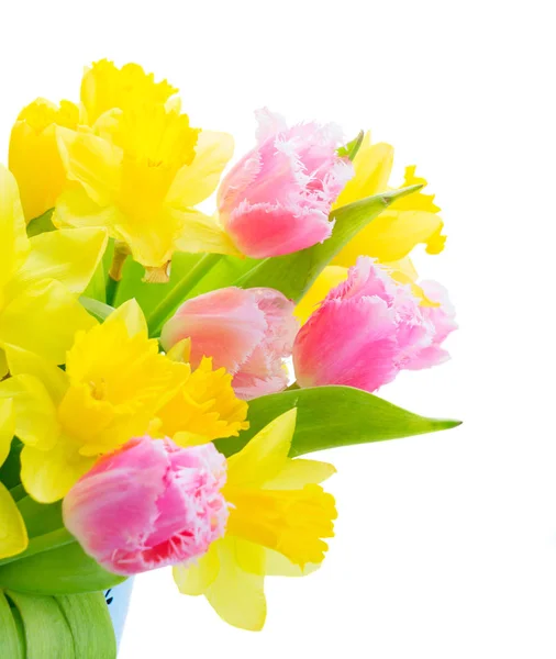 Bukiet tulipany i żonkile — Zdjęcie stockowe