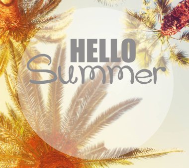 palmiye ağacı retro tarzı