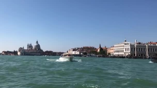 Basiliek Santa Maria della Salute, Venetië, Italië — Stockvideo