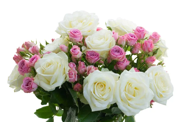 Vaaleanpunainen ja valkoinen kukkivat ruusut — kuvapankkivalokuva