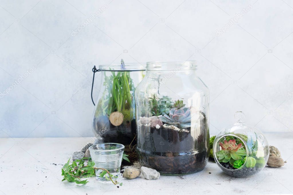 garden inside mason jar