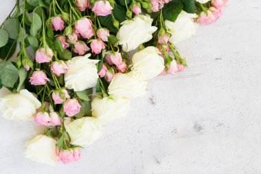 Pembe ve beyaz çiçek açan güller