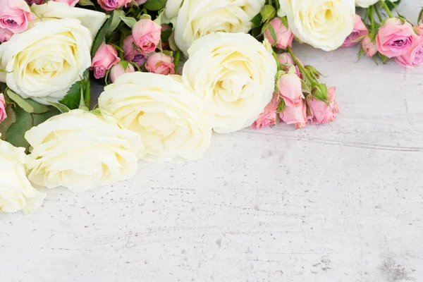 Розовые и белые цветущие розы — стоковое фото