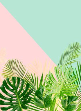 Tropik yeşil yapraklar