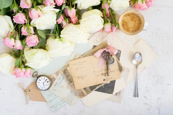 Rosa und weiß blühende Rosen — Stockfoto