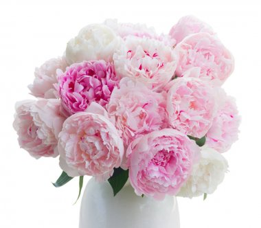 Taze şakayık çiçekleri