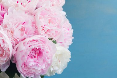 Pembe çiçek arkaplanı