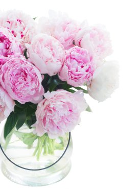 Taze şakayık çiçekleri