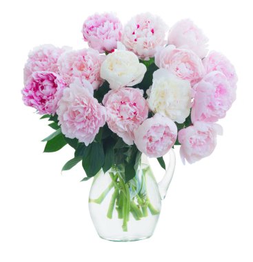 Taze şakayık çiçekleri