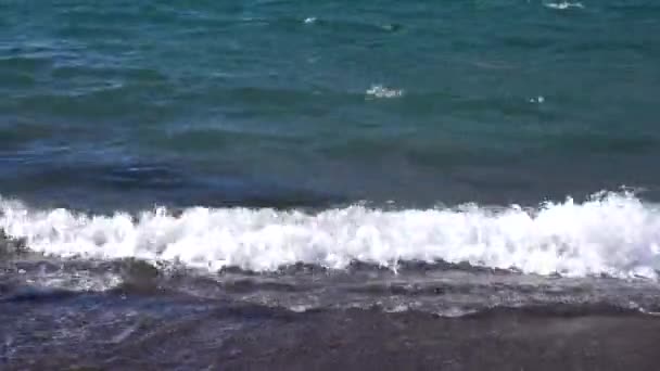 Чиста морська вода — стокове відео