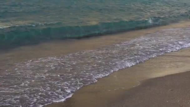 Чиста морська вода — стокове відео