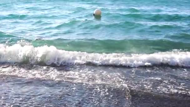 Água do mar limpa — Vídeo de Stock