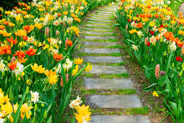 Каменная дорожка, извивающаяся в саду
