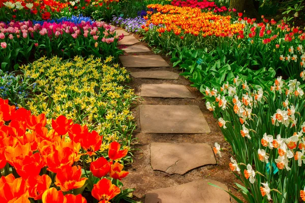 Camino de piedra serpenteando en un jardín — Foto de Stock