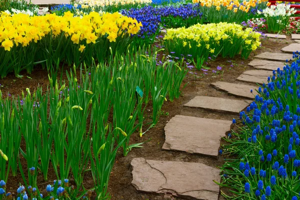 Stone path winding in a garden — Stock Photo, Image