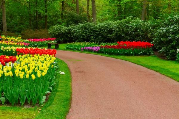 Percorso in pietra che si snoda in un giardino — Foto Stock