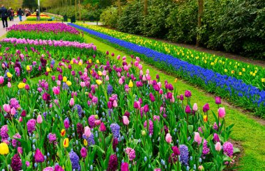 Resmi bahar bahçesi