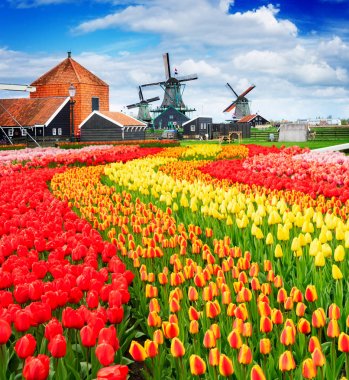 Hollanda rüzgar değirmenleri