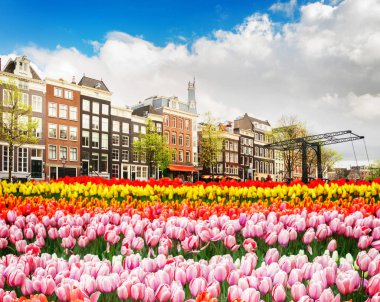 Hollanda, Amstardam 'ın Evleri