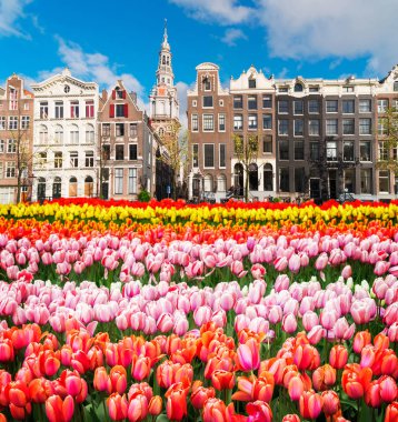 Hollanda, Amstardam 'ın Evleri
