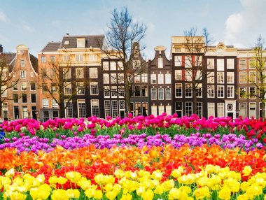 Hollanda, Amstardam 'ın Evleri
