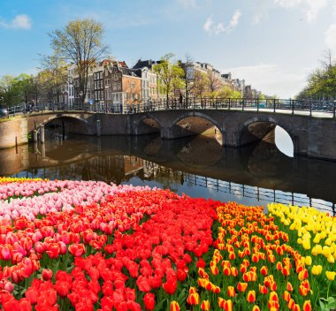 Amsterdam, Hollanda Evleri