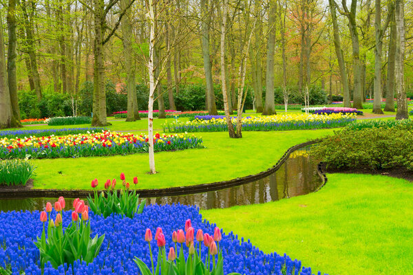 Весенний сад